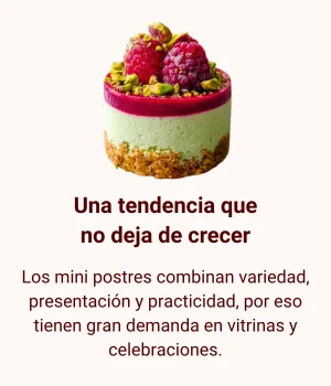correcto (300 x 350 px) (4)